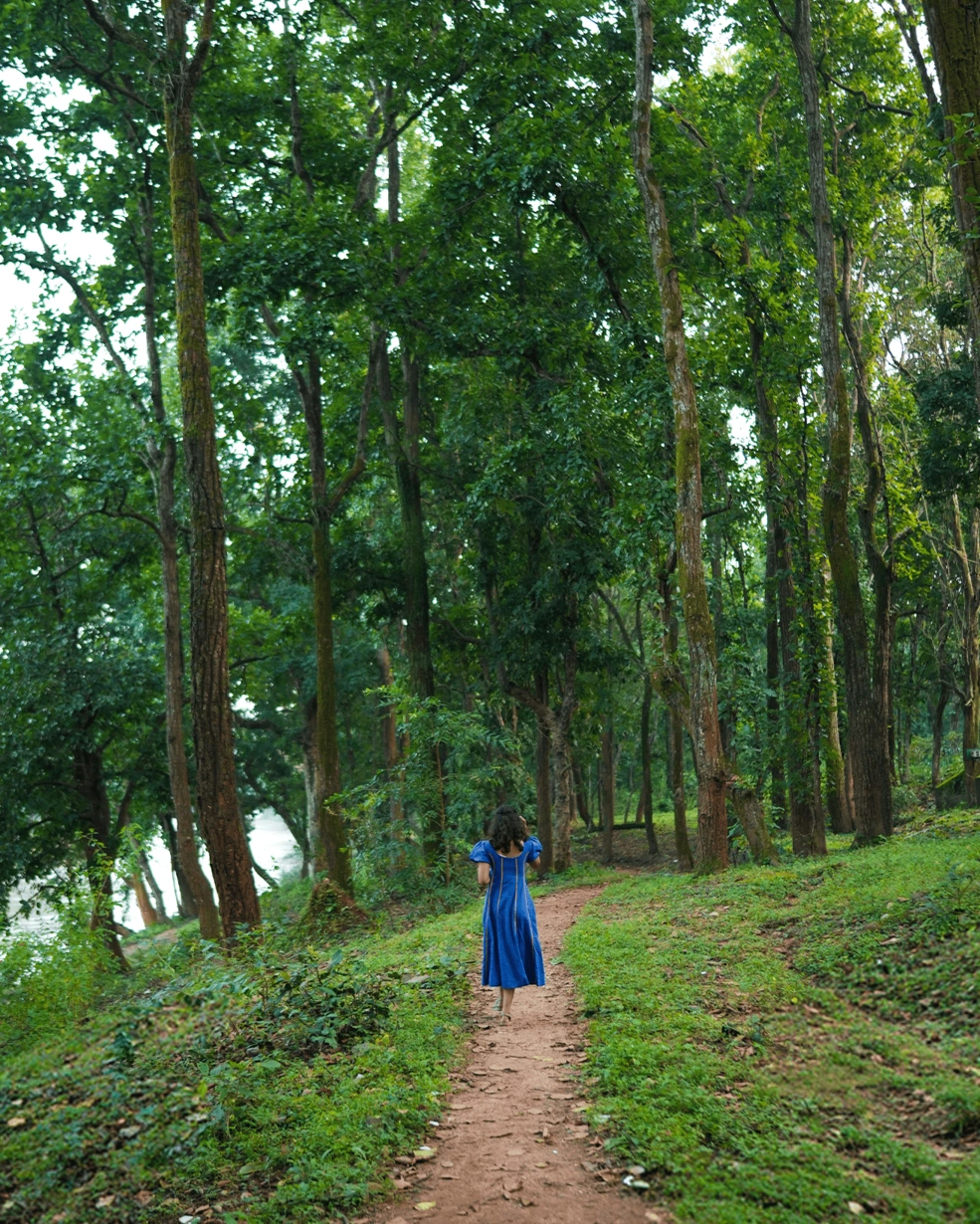 A Walk Through Nature